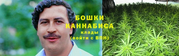 метадон Гусиноозёрск