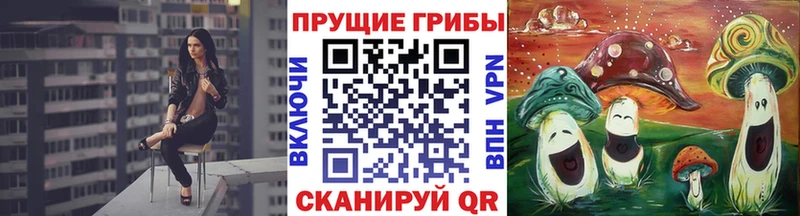 Купить где  Псков  Псилоцибиновые грибы ЛСД 